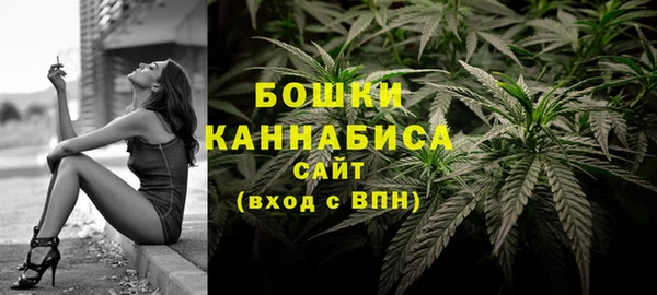 mdpv Инта